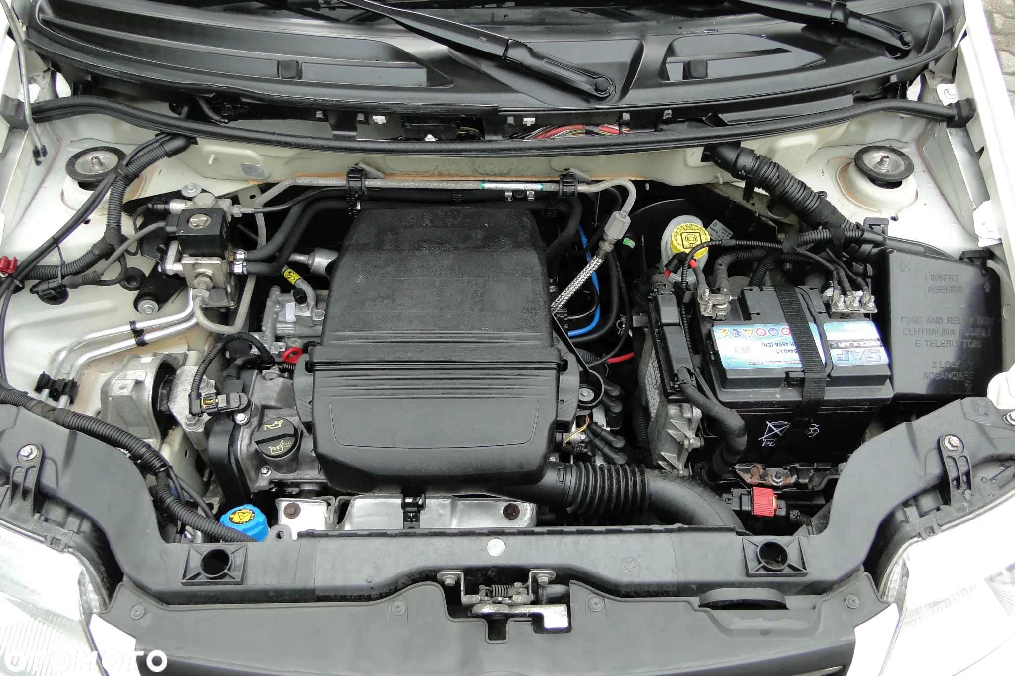 Fiat Panda 1.2 Dynamic Plus - 22