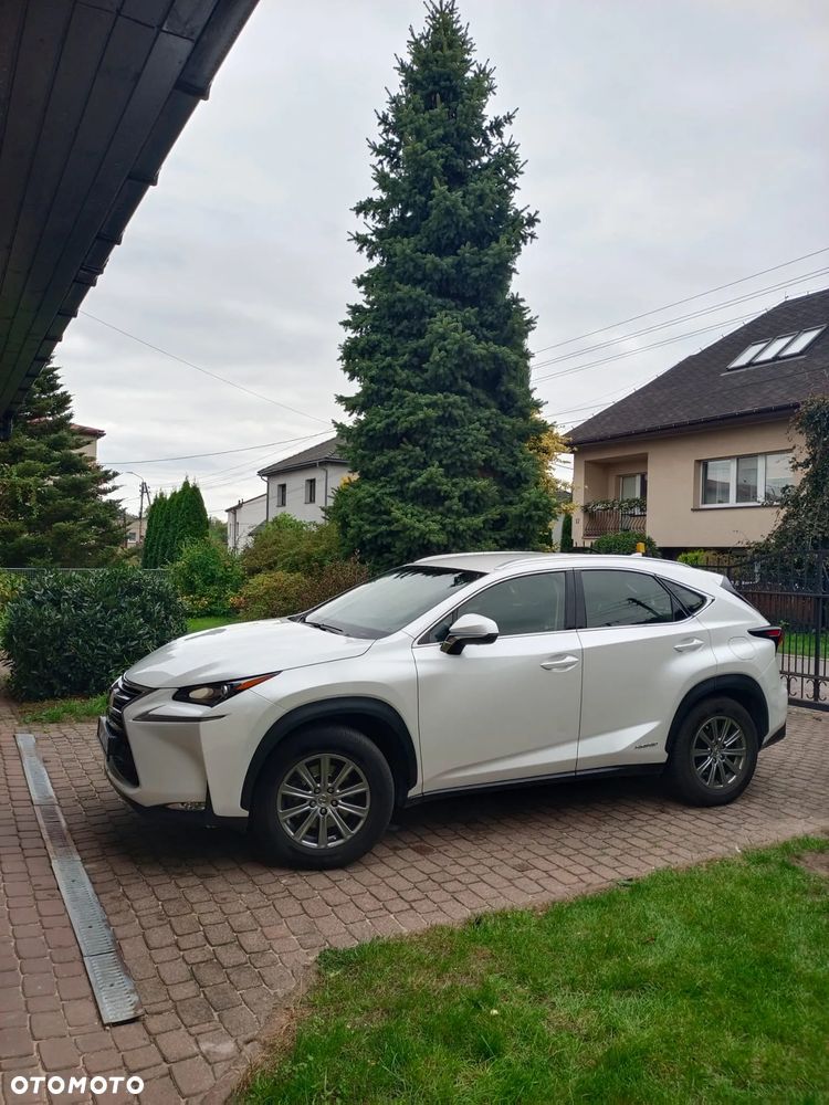 Lexus NX 300h - 1