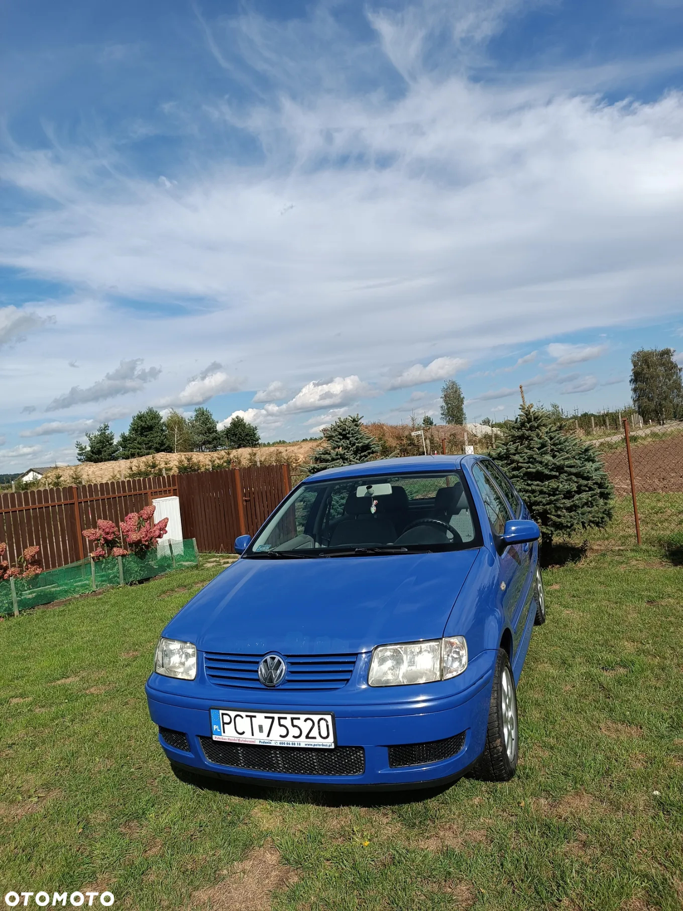 Volkswagen Polo - 4