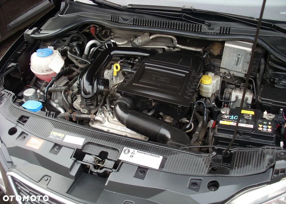 Seat Ibiza 1.0 EcoTSI S&S Reference - 5