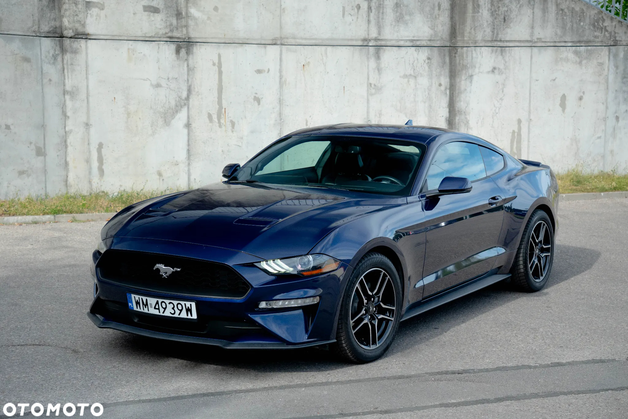 Ford Mustang 2.3 EcoBoost - 2