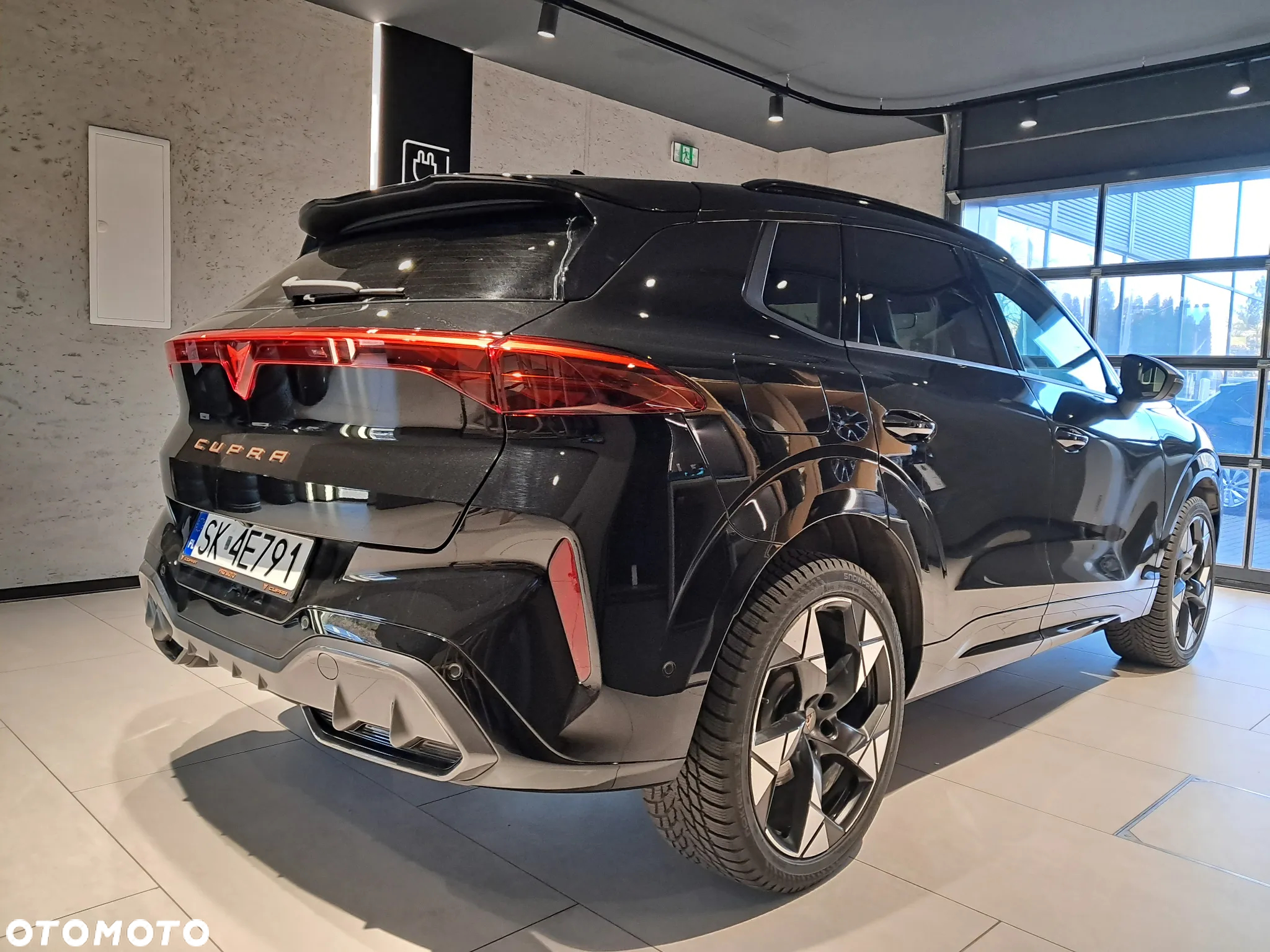 Cupra Terramar - 4