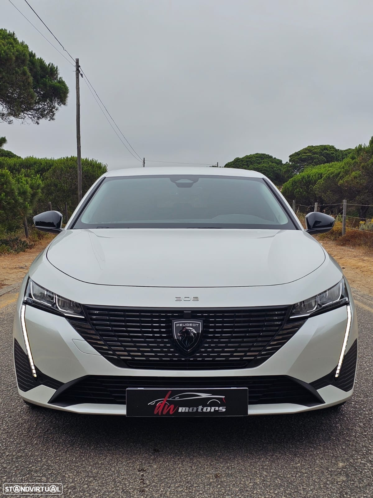 Peugeot 308 SW 1.6 Hybrid Allure e-EAT8 - 4