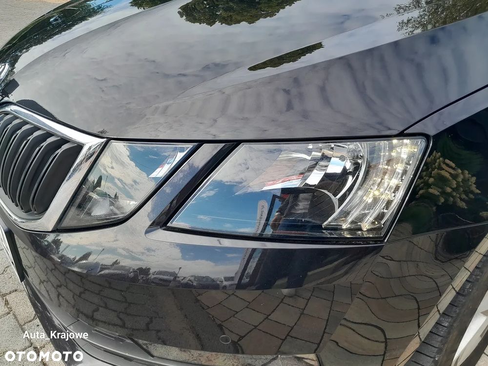 Skoda Octavia 1.5 TSI ACT Ambition - 31