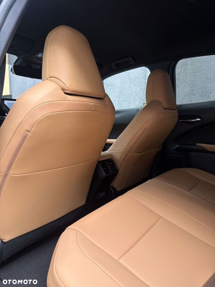 Lexus UX 250h GPF F Sport Design 2WD - 18