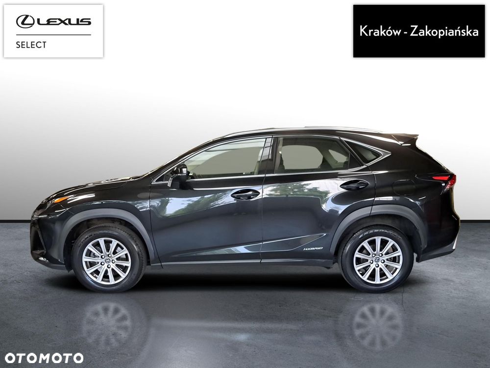 Lexus NX 300h Elegance AWD - 5