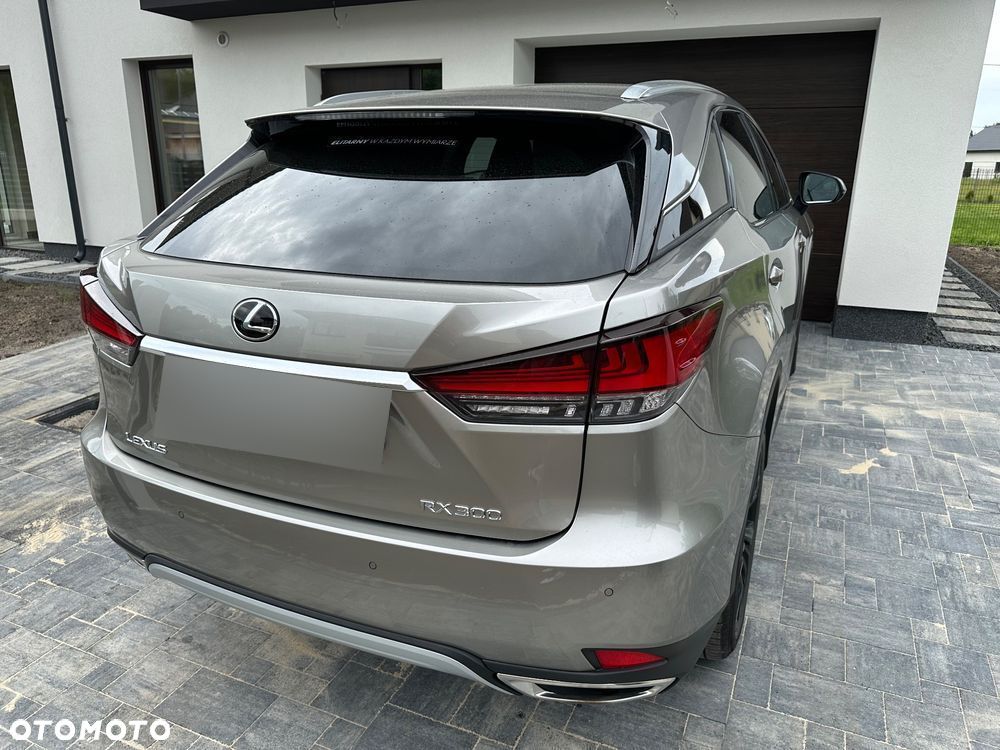 Lexus RX 300 Business Edition + - 8