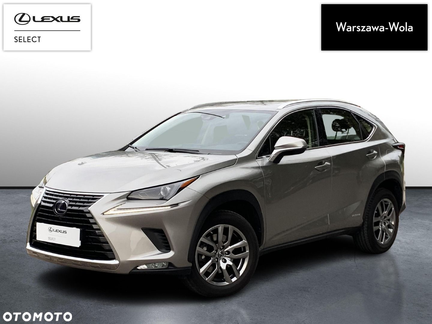 Lexus NX 300h Business Edition AWD - 1