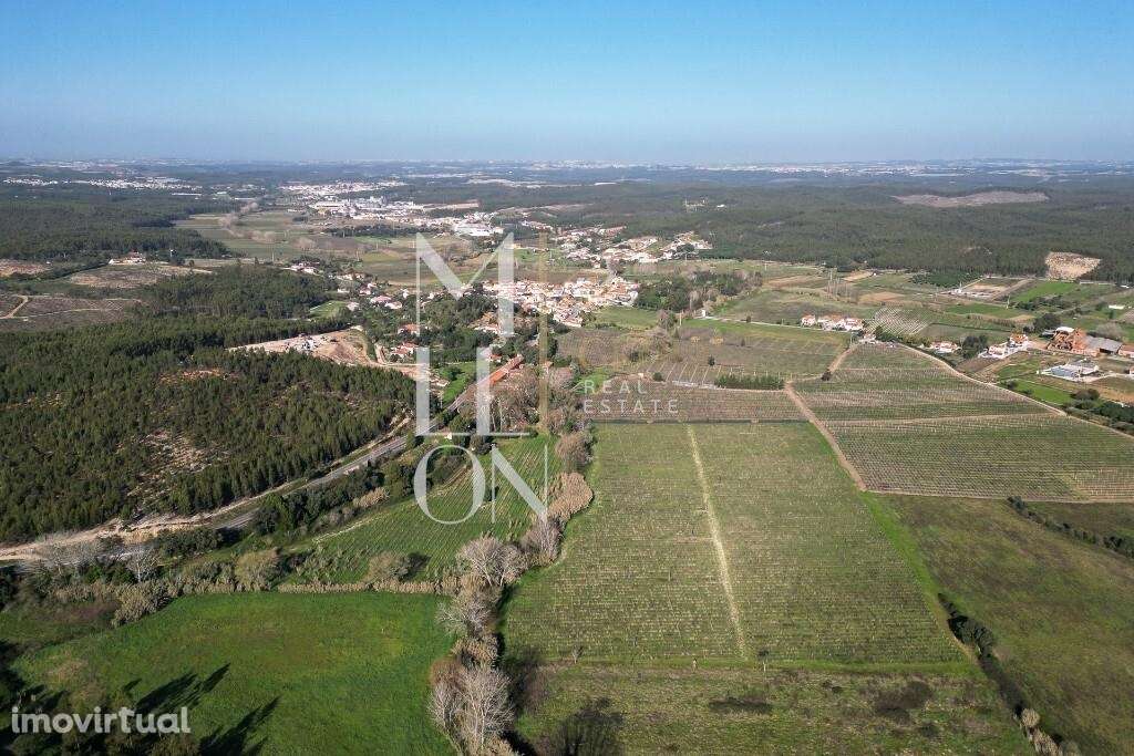 Propriedade Histórica e Vinícola Única – Uma Oportunidade Rara a 50 mi - Grande imagem: 5/31