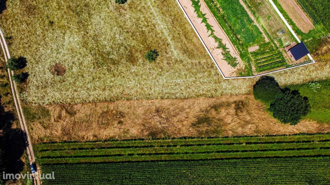 Terreno  para venda - Grande imagem: 3/11