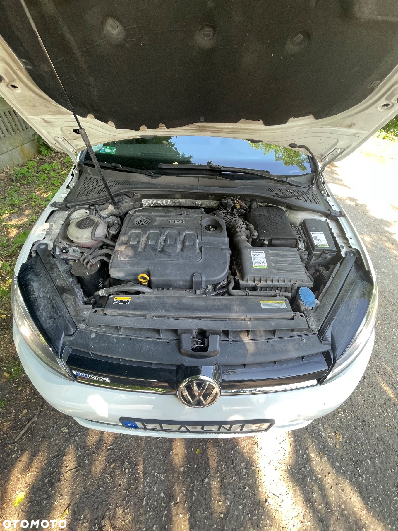 Volkswagen Golf 1.6 TDI BlueMotion Technology Comfortline - 21