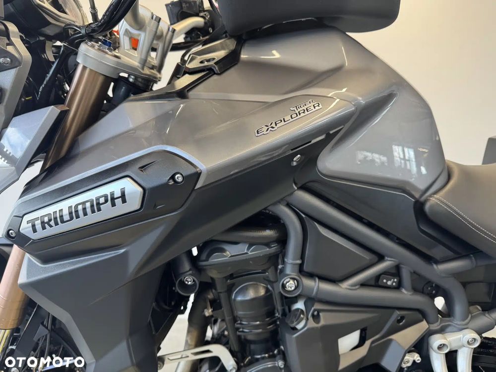 Triumph Tiger - 22