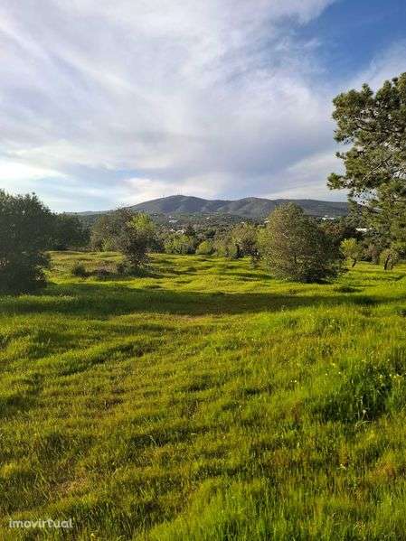Terreno com casa velha com 34.320 m2 - Grande imagem: 3/4