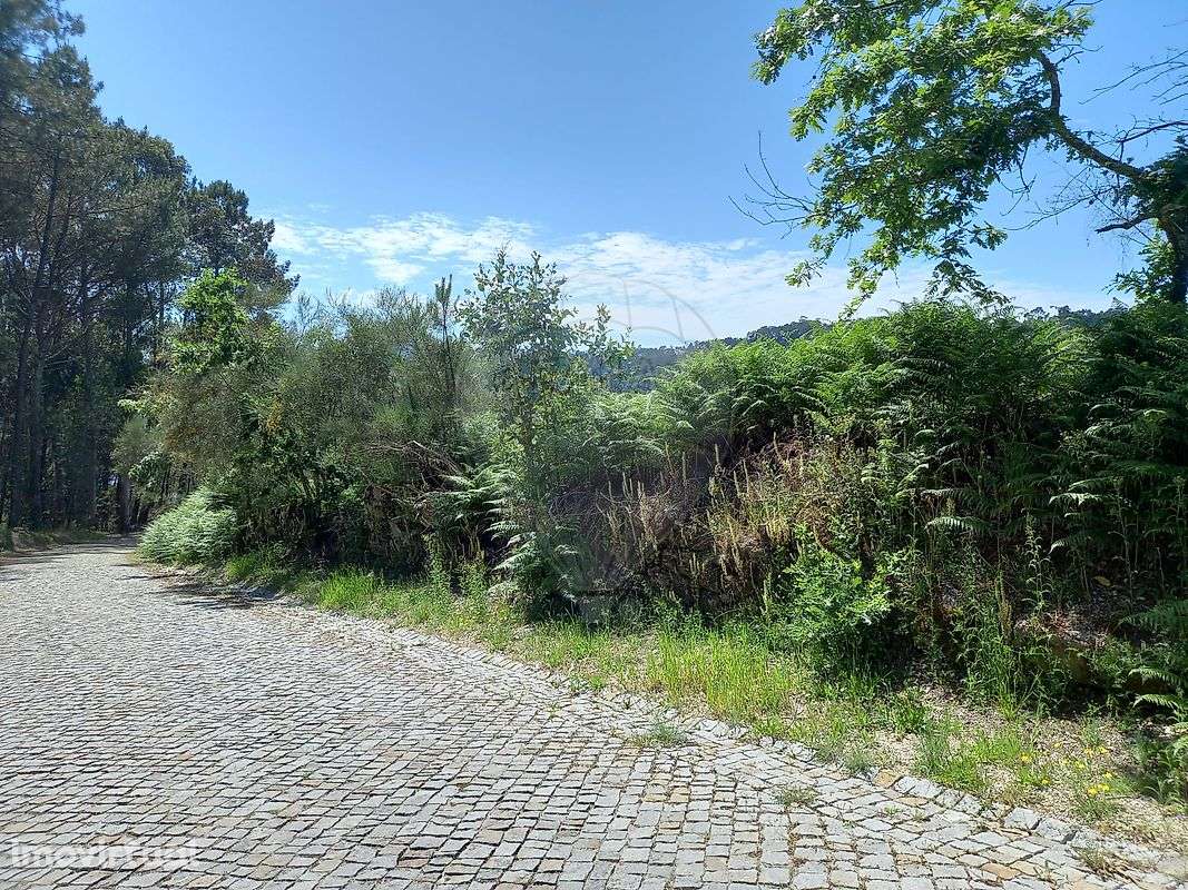 Terreno  para venda - Grande imagem: 4/7