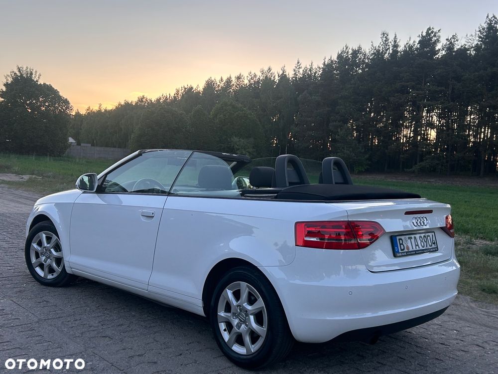 Audi A3 Cabrio 1.6 Ambition - 18
