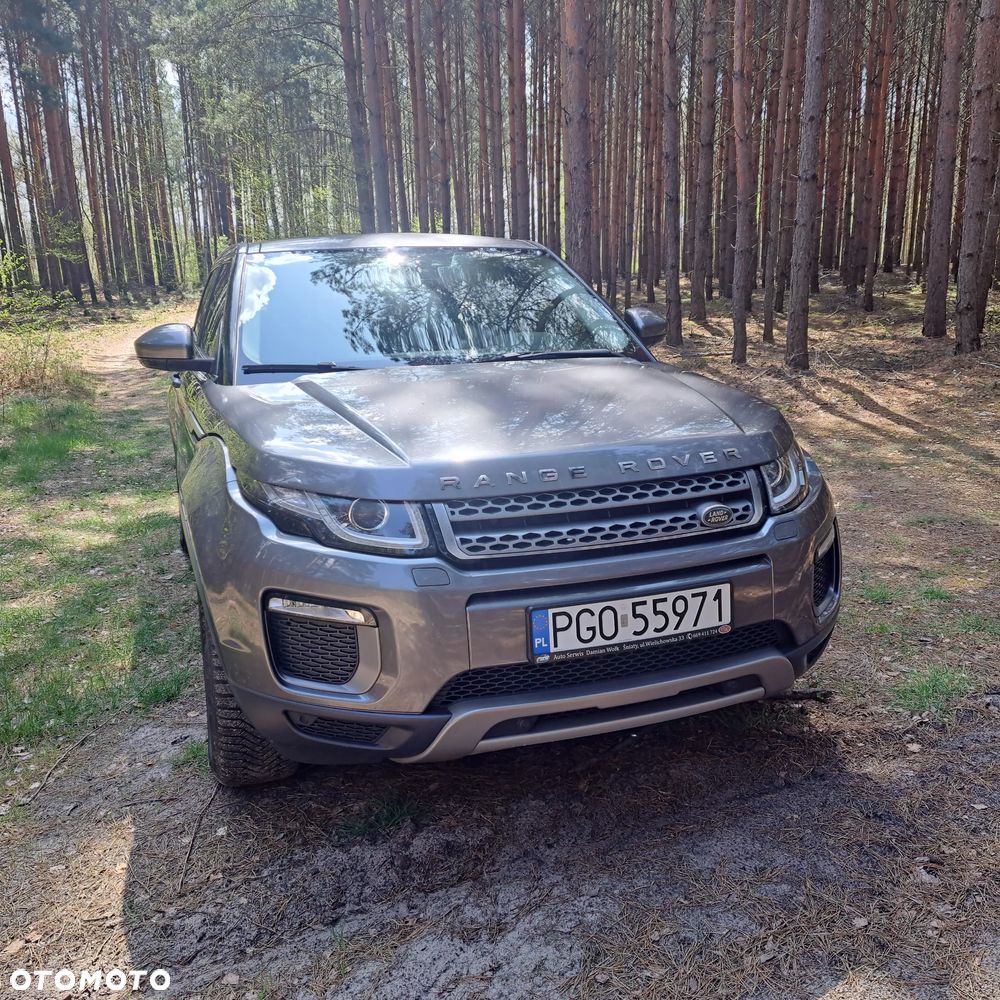 Land Rover Range Rover Evoque TD4 Landmark Edition - 24