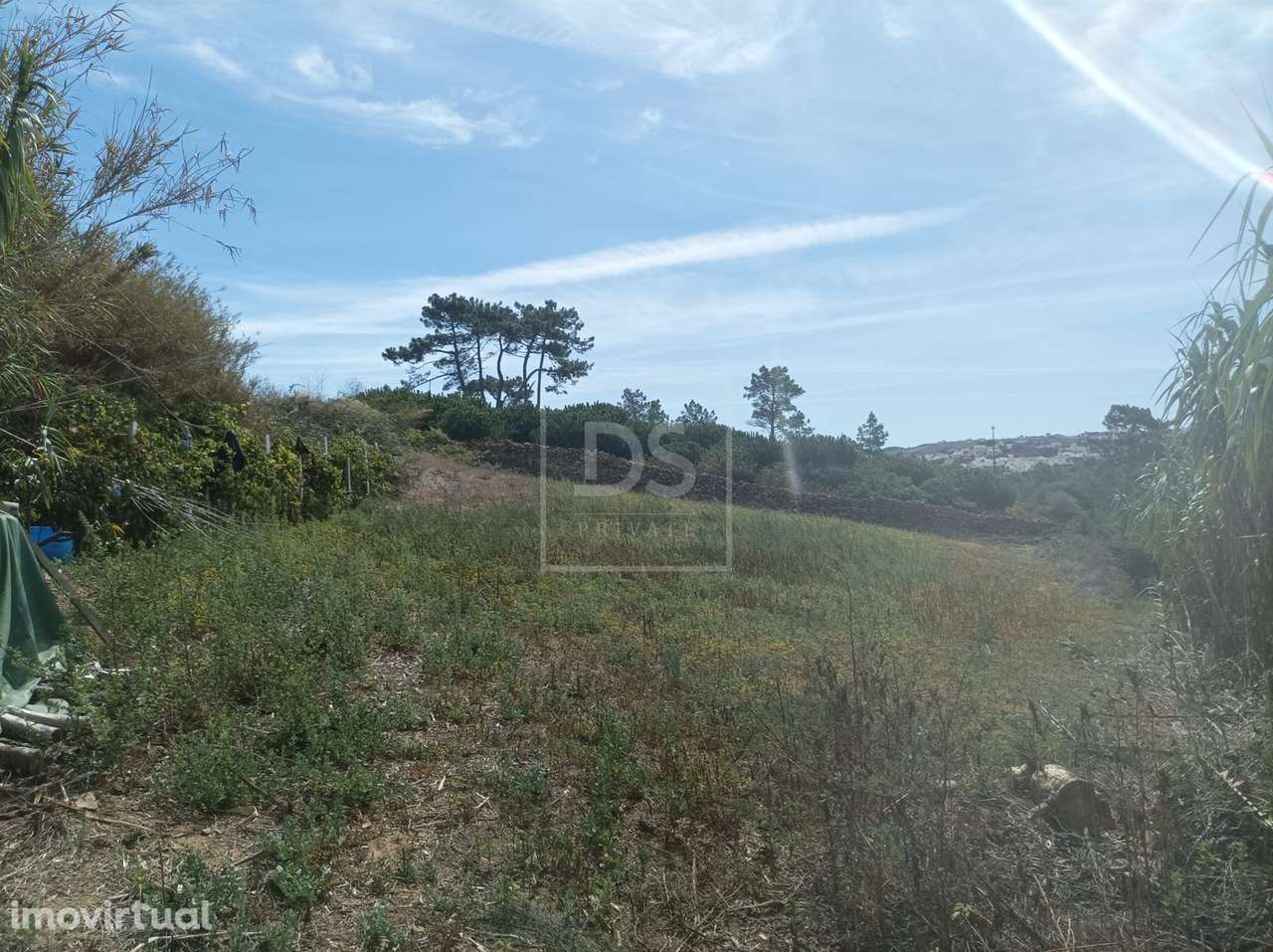 Terreno com 1.562 m² em Casal das Oliveiras | Proximidade à Ericeira e - Grande imagem: 4/8