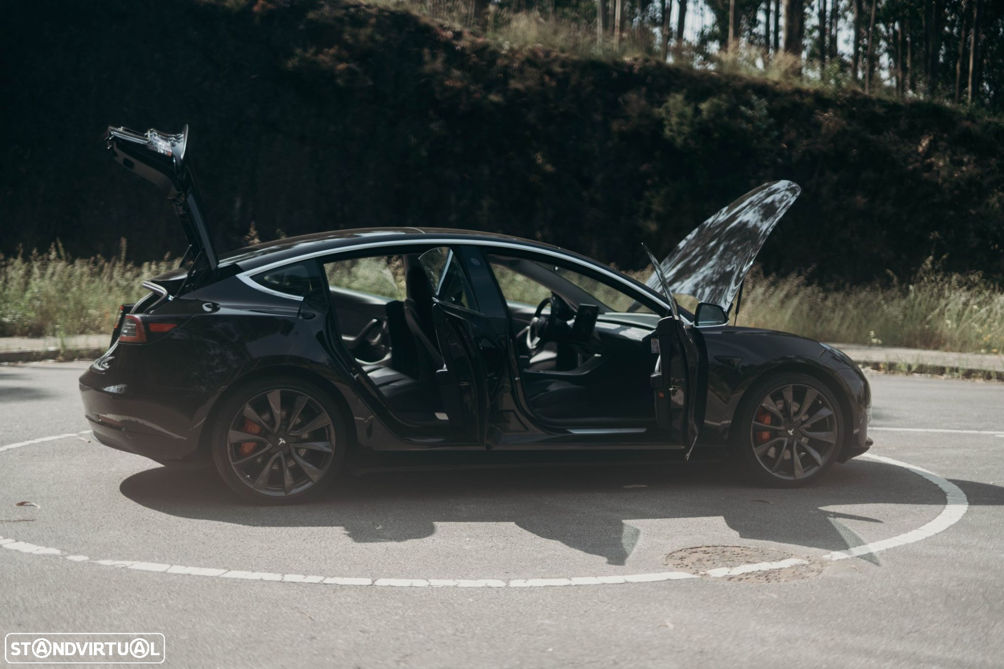 Tesla Model 3 Performance Dual Motor AWD - 27