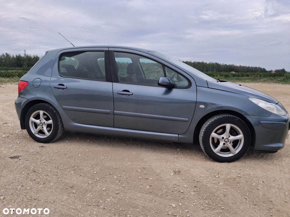 Peugeot 307 1.6 XS - 2