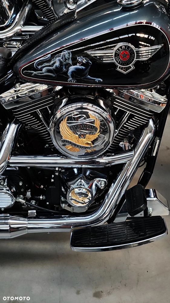 Harley-Davidson Softail Deluxe - 10