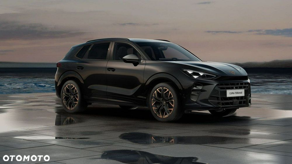 Cupra Terramar - 6