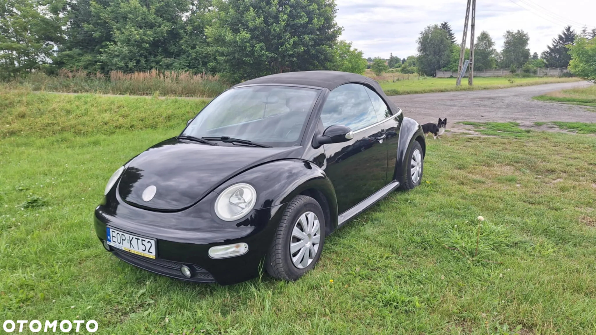 Volkswagen New Beetle 1.9 TDI - 9