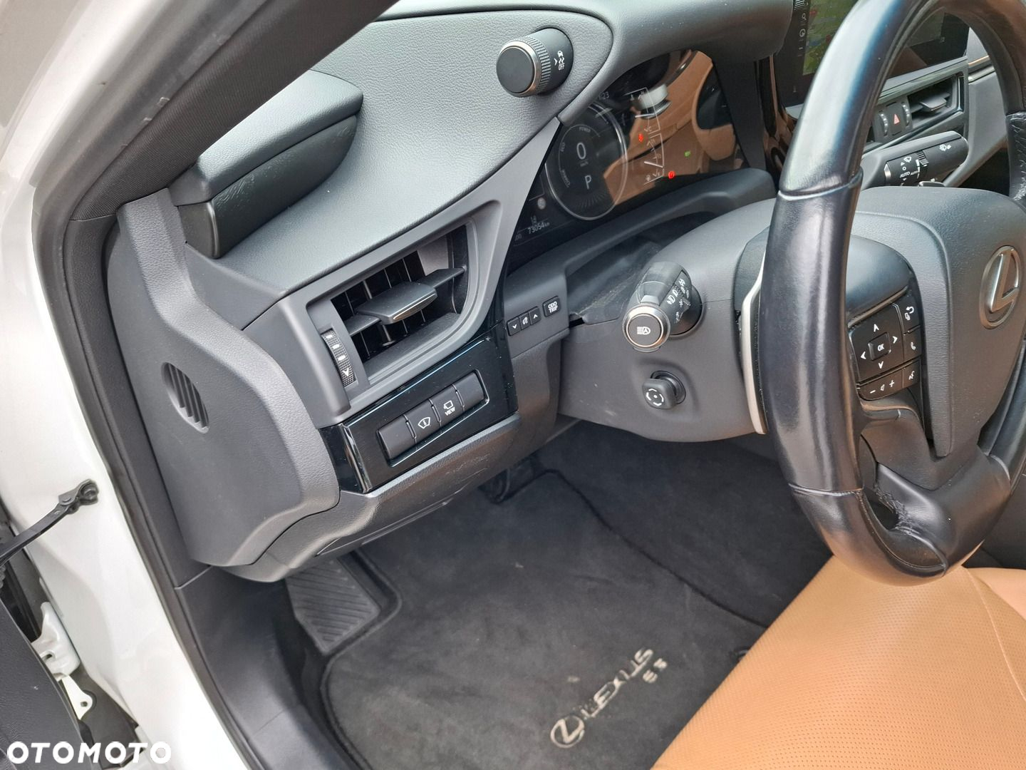 Lexus ES 300h Omotenashi - 13