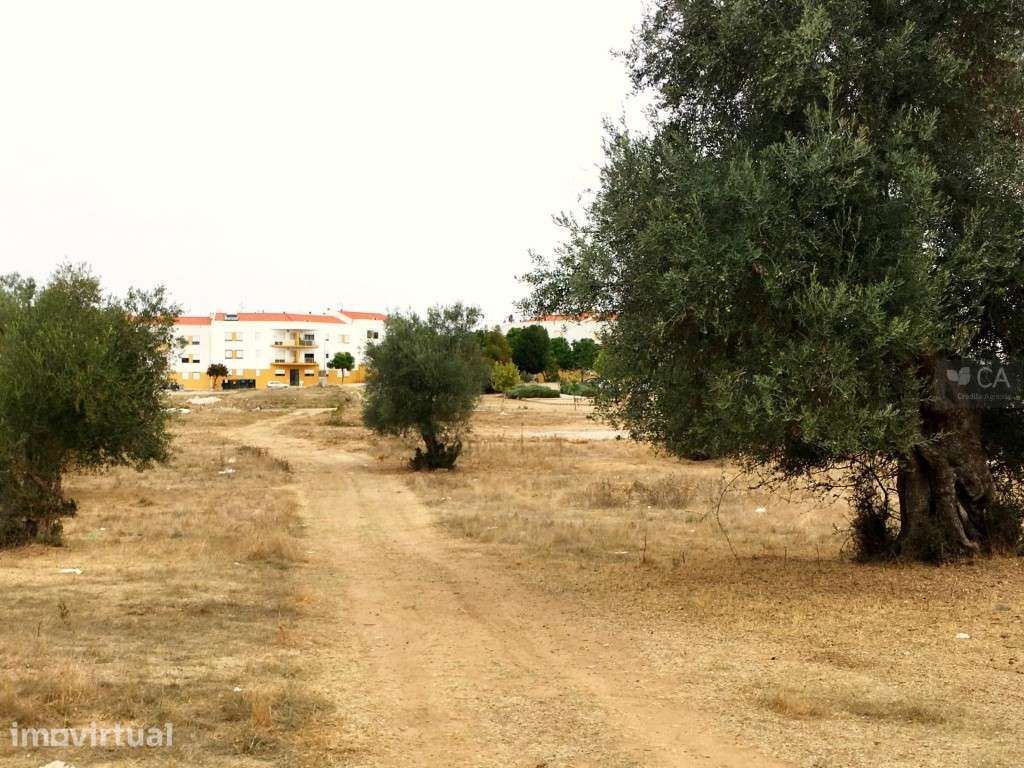 Terreno com 8.750m², com PIP aprovado para realização de loteamento... - Grande imagem: 2/12