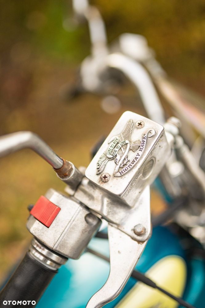 Suzuki Intruder - 12