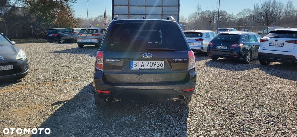 Subaru Forester - 6