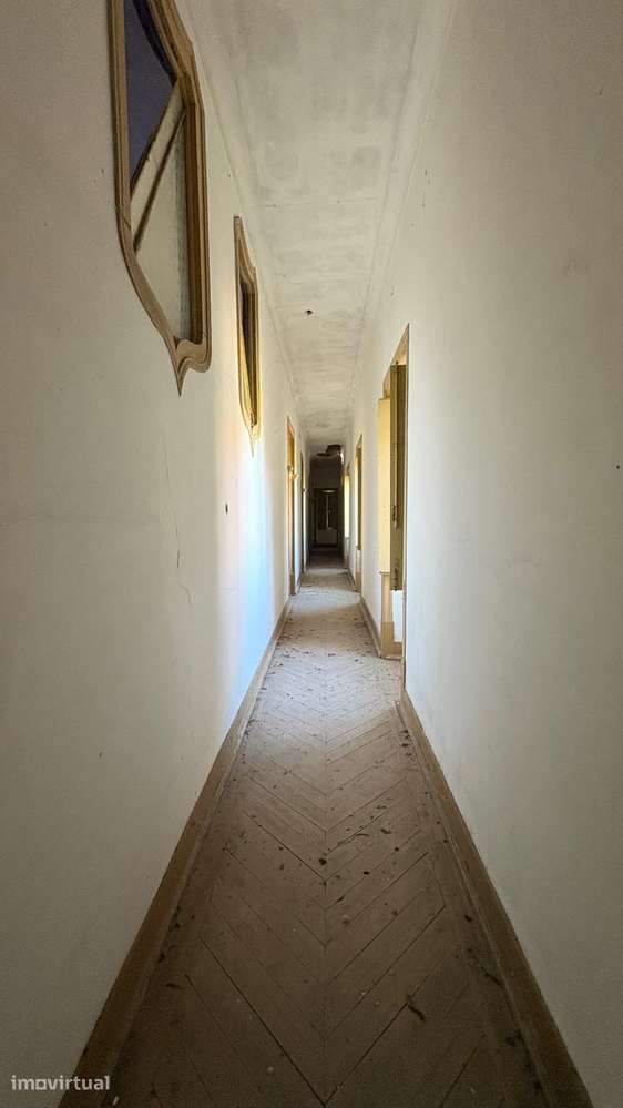 Quinta Senhorial - 12 Hectares - Olival - Ourém - Grande imagem: 5/23