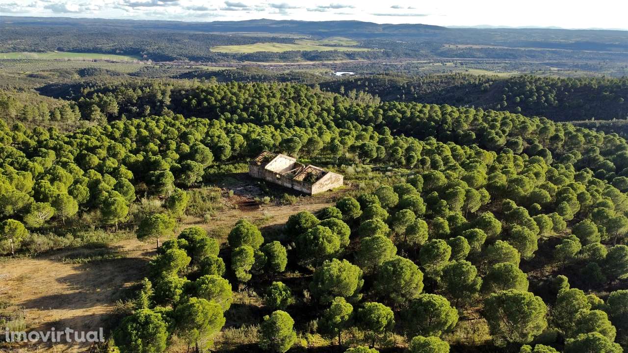 Herdade T5 Venda em Escalos de Baixo e Mata,Castelo Branco - Grande imagem: 3/31