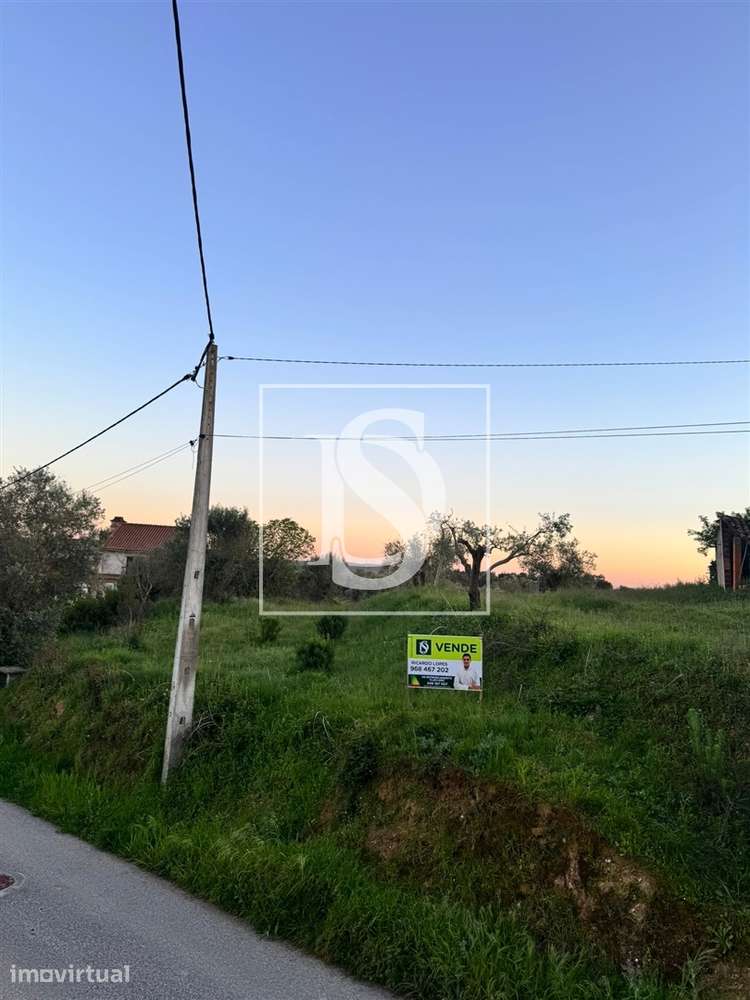 Terreno  Venda em Paialvo,Tomar - Grande imagem: 3/4