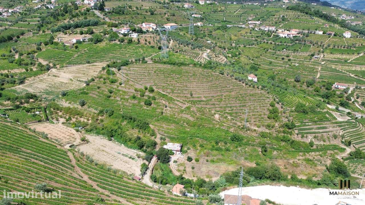 QUINTA DAS LAMAS | + DE 2 HECTARES | DOURO - Grande imagem: 2/8