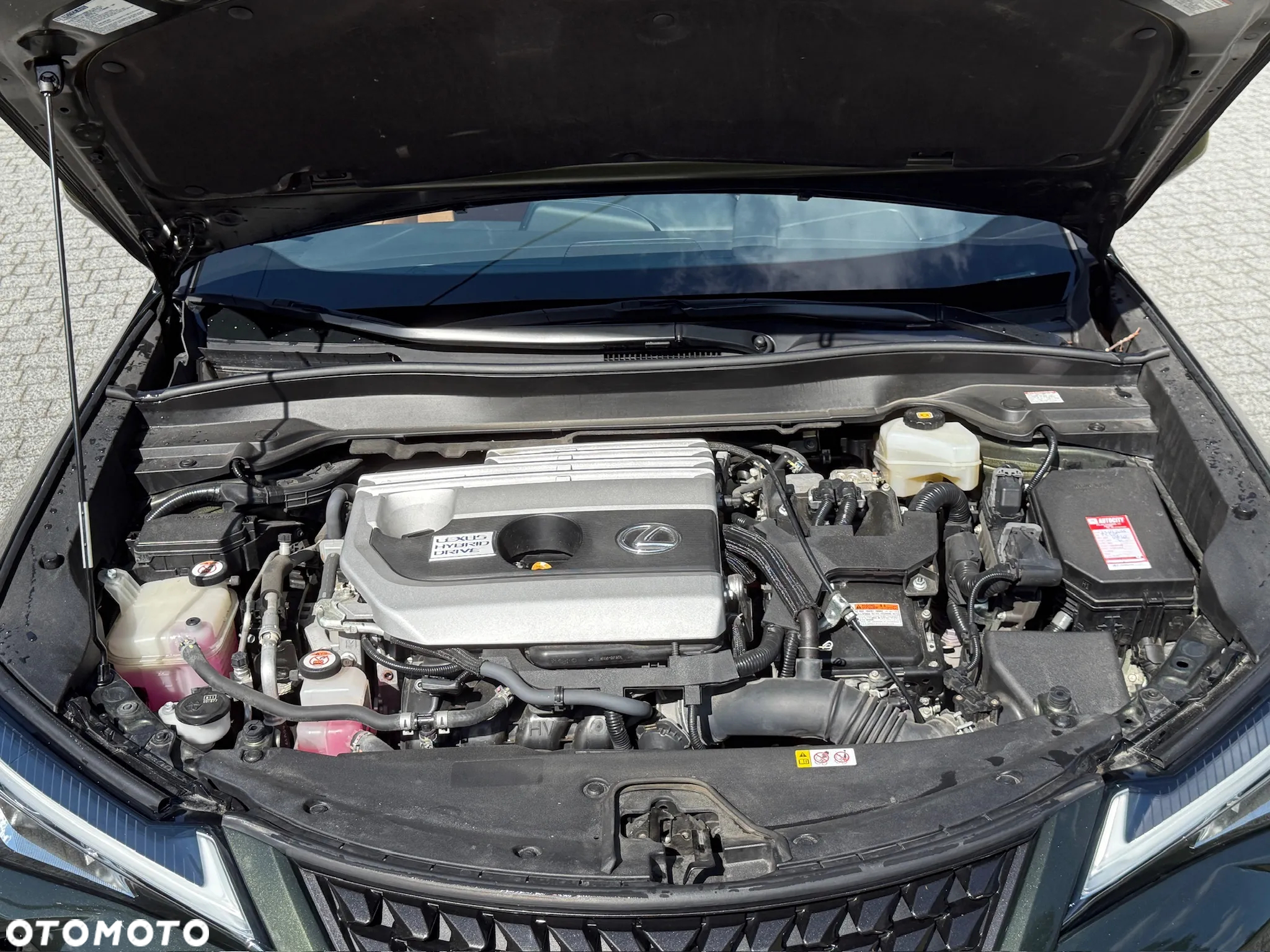 Lexus UX 250h (E-FOUR) Executive Line - 35