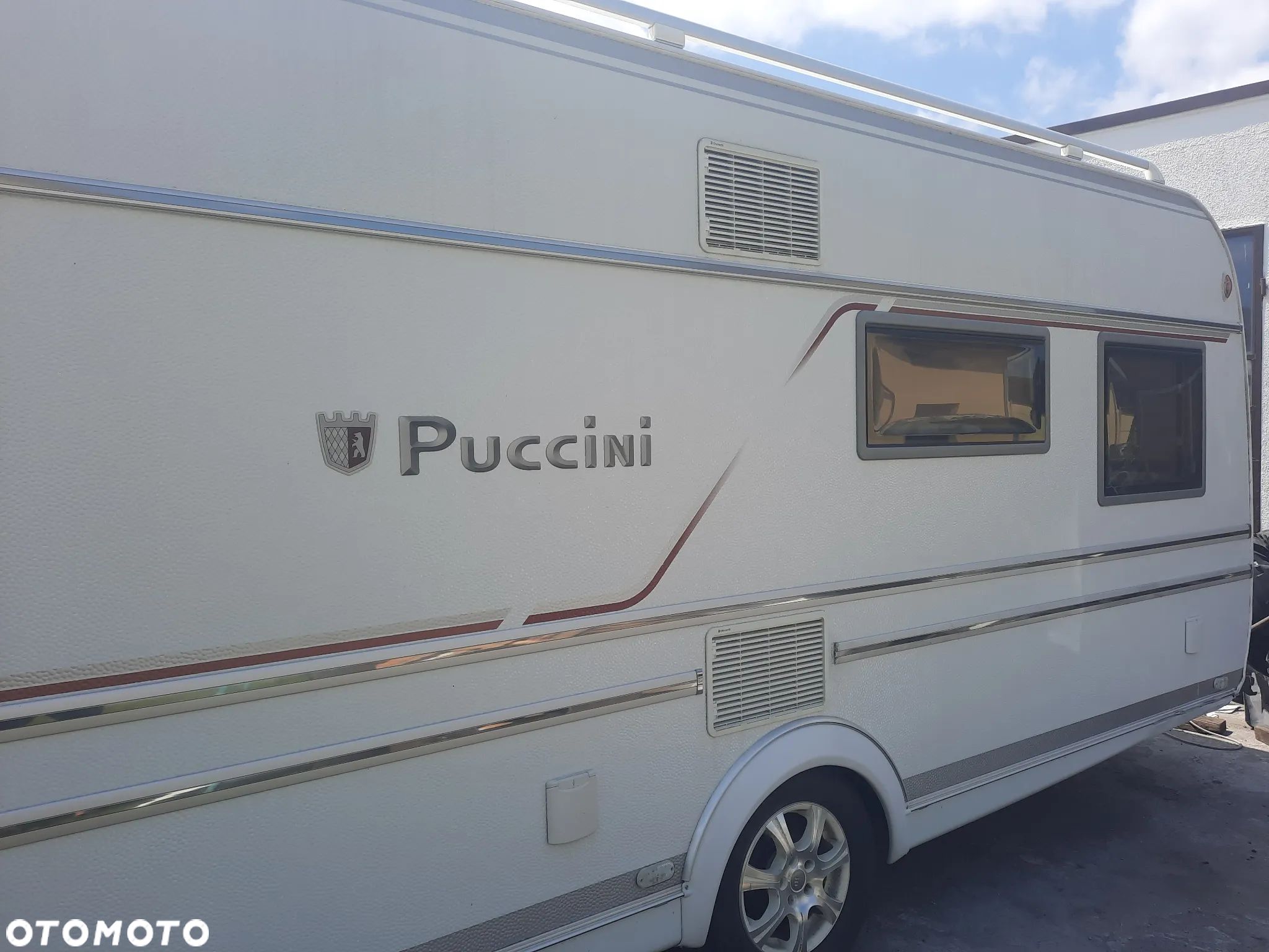 Tabbert Puccini - 1