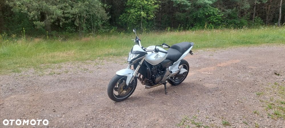 Honda Hornet - 3