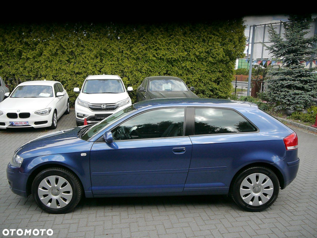 Audi A3 1.6 Attraction - 7