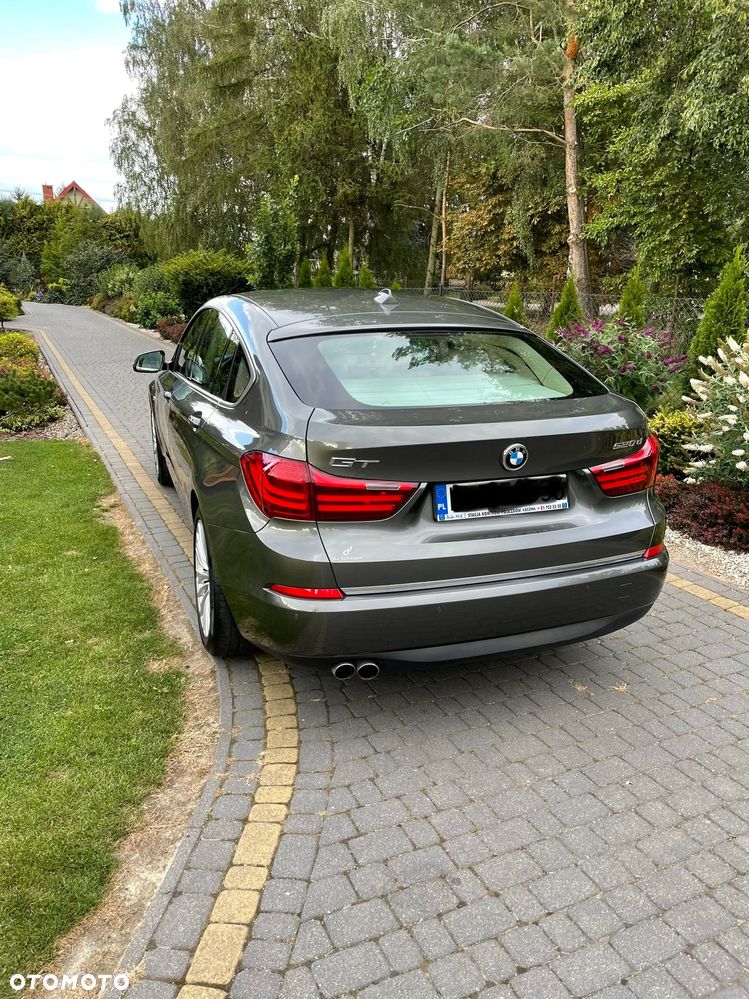 BMW Seria 5 518d Luxury Line - 5