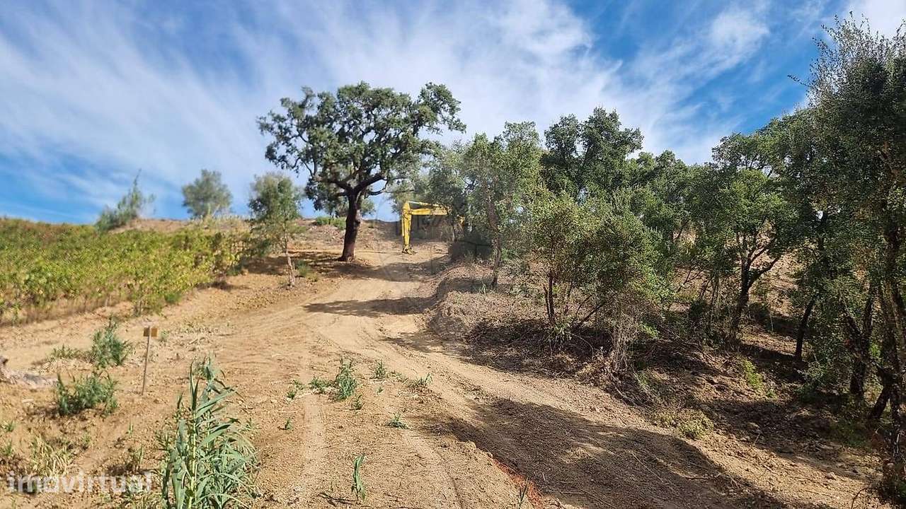 Terreno  para venda - Grande imagem: 4/15