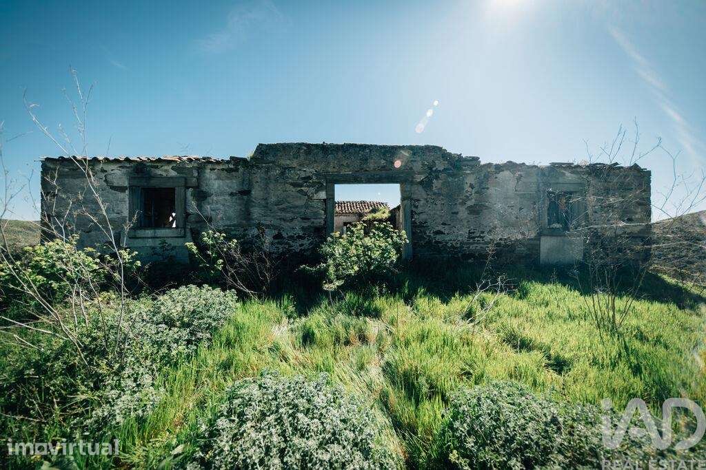 Terreno em Chãs - Grande imagem: 4/40