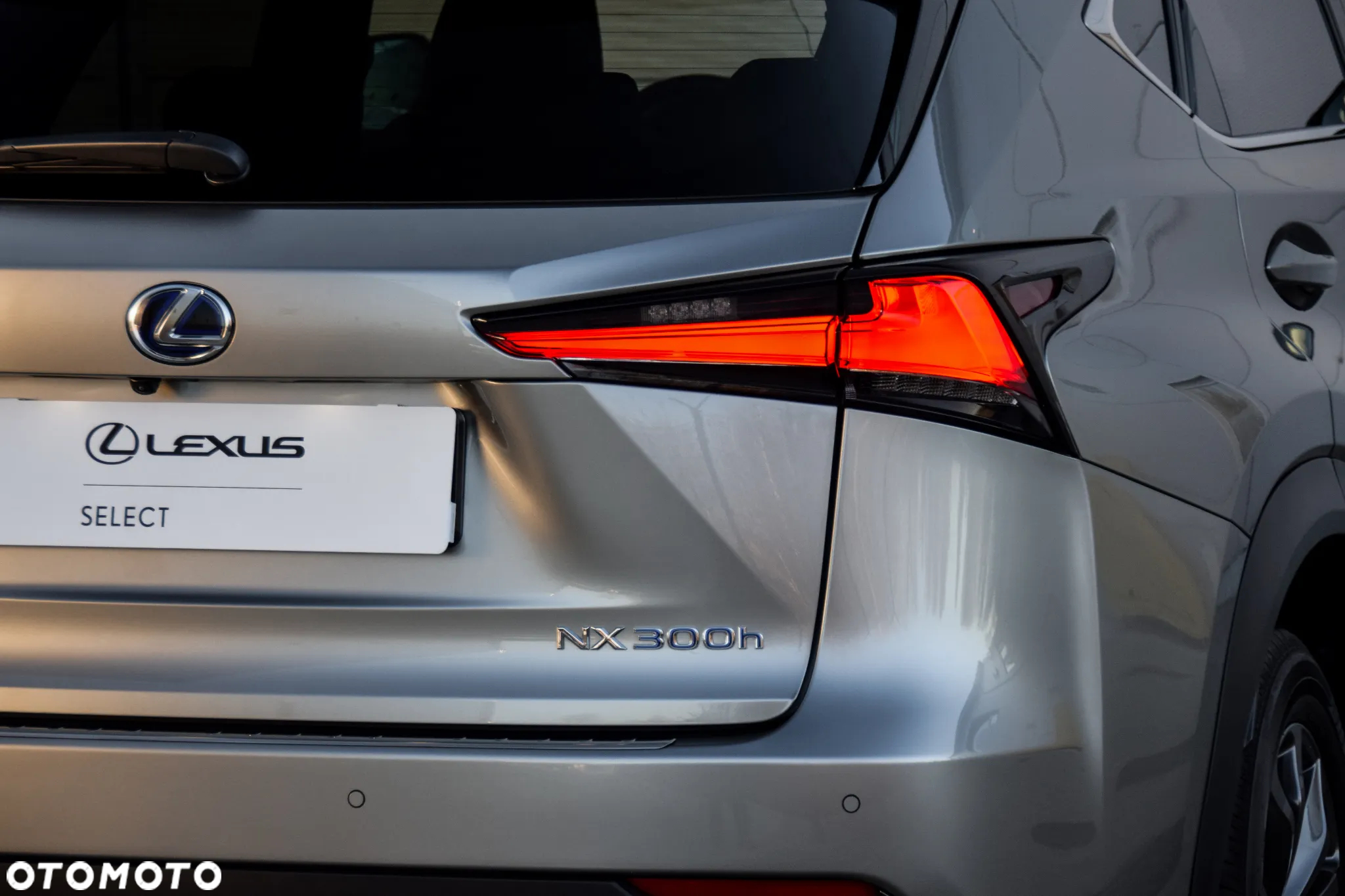 Lexus NX 300h F Sport Edition AWD - 17