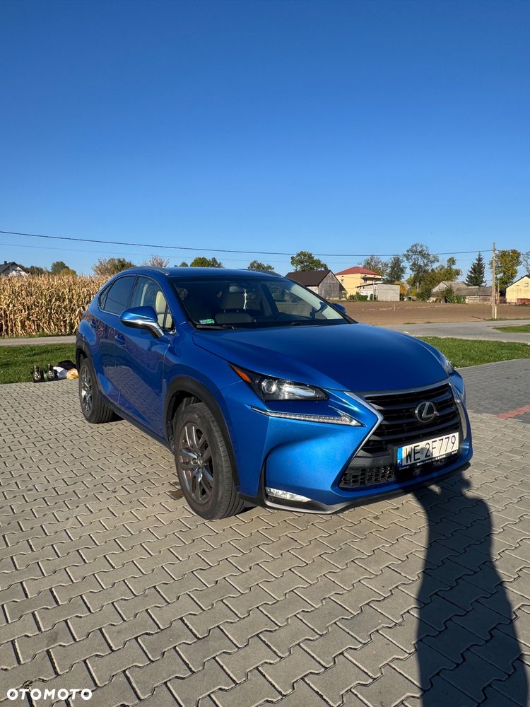 Lexus Nx 2017 photo 5