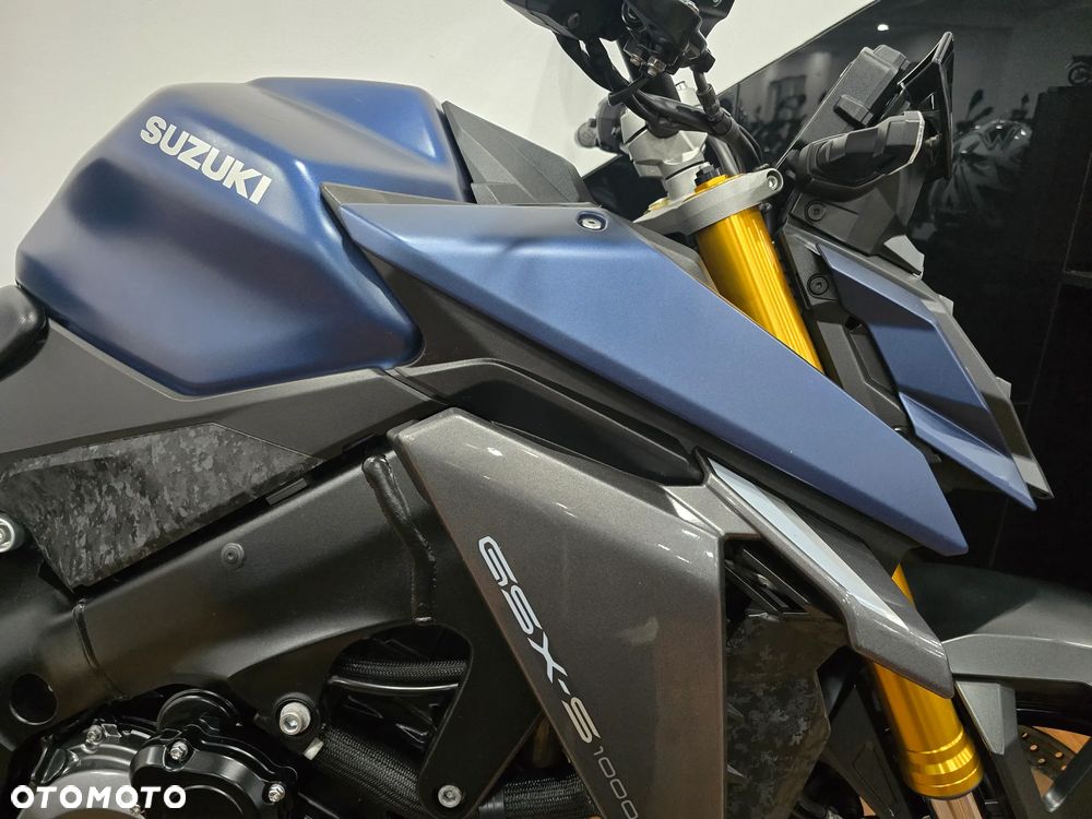 Suzuki GSX - 13