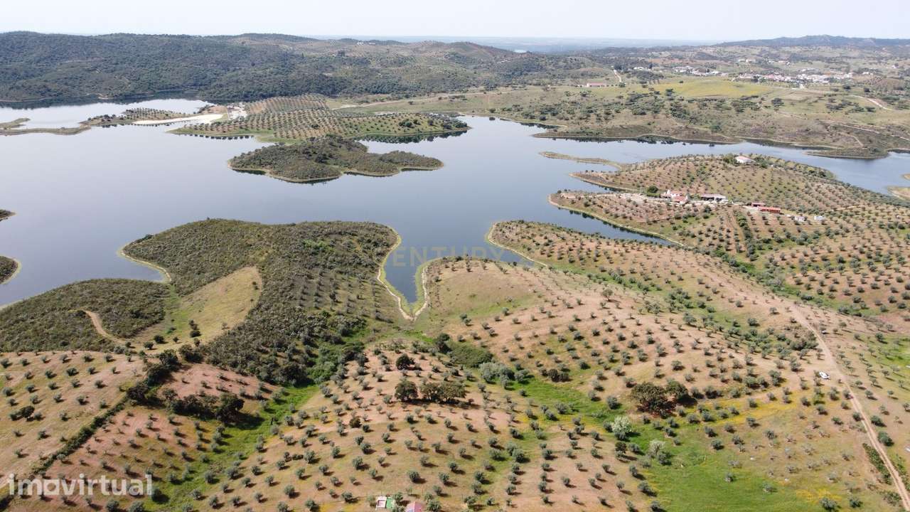 Terreno Rústico na Região de Portel, junto à Vila do Alqueva - Grande imagem: 5/22