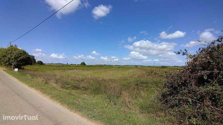 Terreno Rustico com viabilidade de Construção - Alpiarça - Grande imagem: 2/9