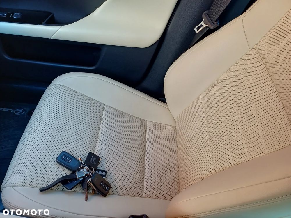 Lexus GS 200t / 300 Elegance - 13