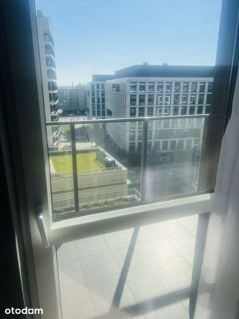 Ilumino Łódź dwa pokoje do wynajęcia