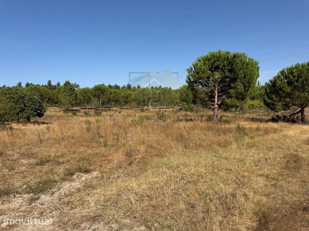 Terreno com 21.250m2 e construções Existentes - Canha, Montijo - Grande imagem: 2/14