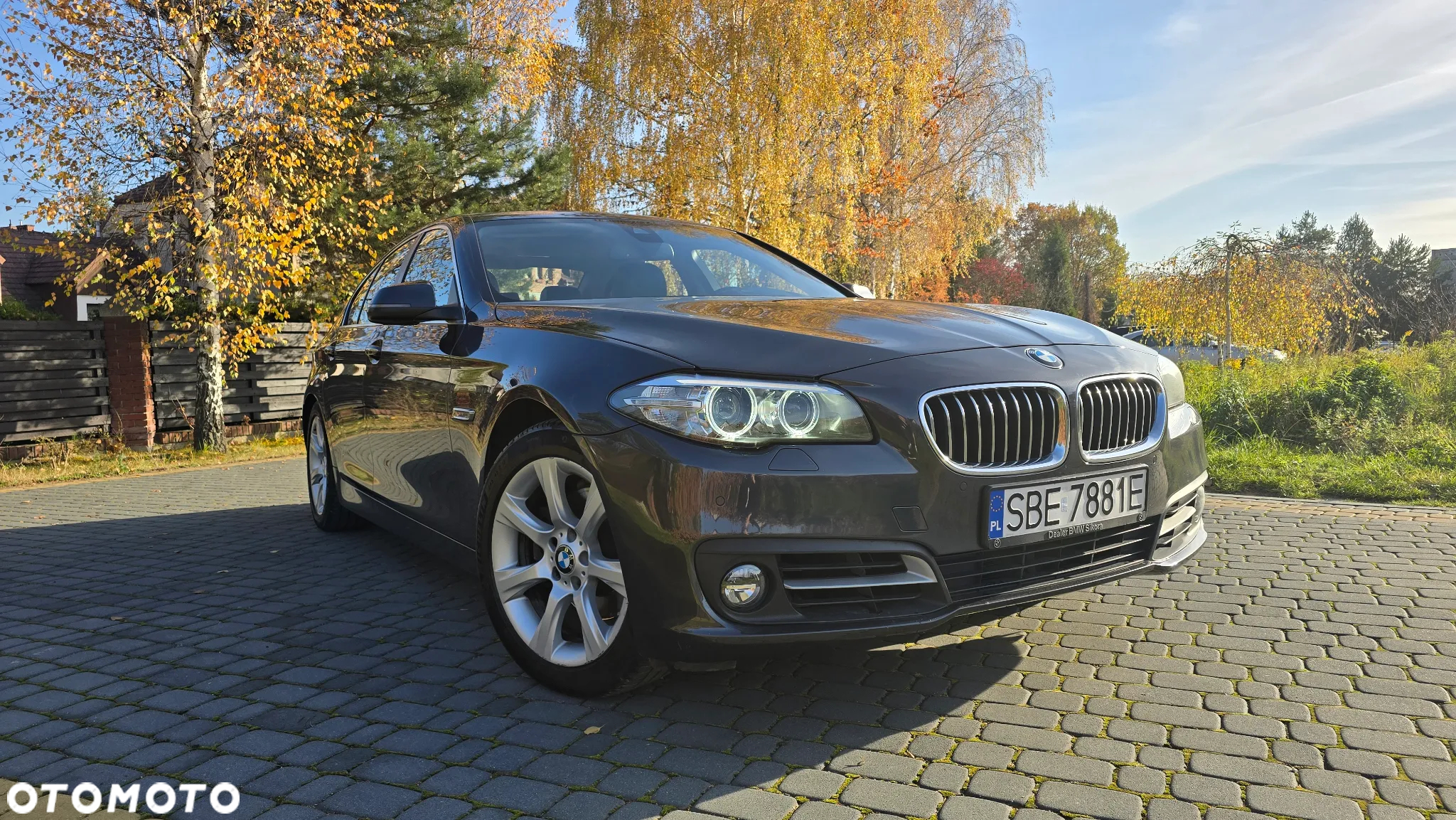 BMW Seria 5 - 6